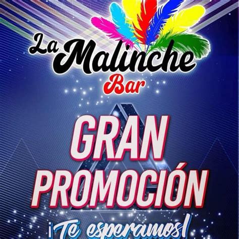 La Malinche Karaoke, Bar Y Club Social